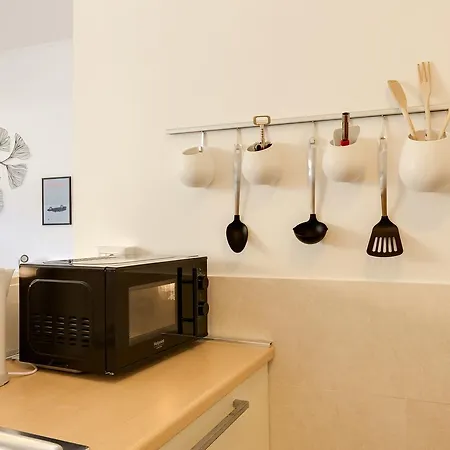 Baccina